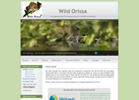 Wildorissa.org thumbnail