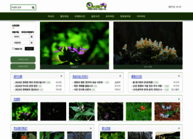 Wildplant.kr thumbnail Wildplant.kr thumbnail