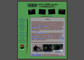 Wolfandwildlifestudies.com thumbnail