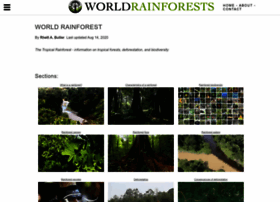 Worldrainforests.com thumbnail