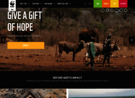 Wwfkenya.org thumbnail