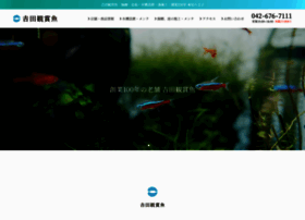 Yoshida Fish Farms Com At Wi 吉田観賞魚 創業100年 錦鯉 金魚 熱帯魚 メダカ 水槽設置 池の施工 東京八王子