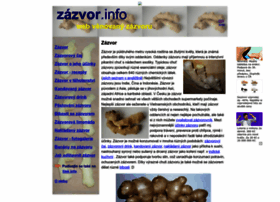 Zazvor.info thumbnail