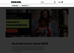 Zekur.nl thumbnail