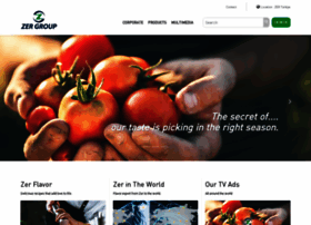 Zergroup.com thumbnail