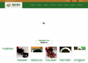 Zhengbolin.com thumbnail