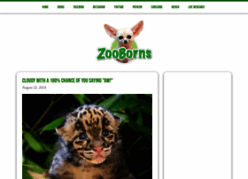 Zooborns.com thumbnail