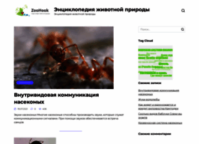 Zoohook.ru thumbnail Zoohook.ru thumbnail