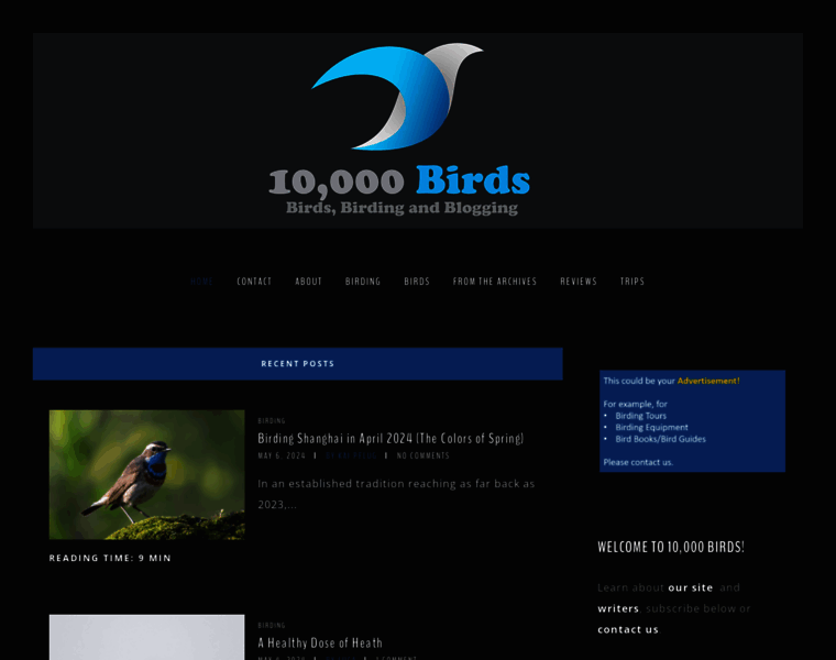 10000birds.com thumbnail