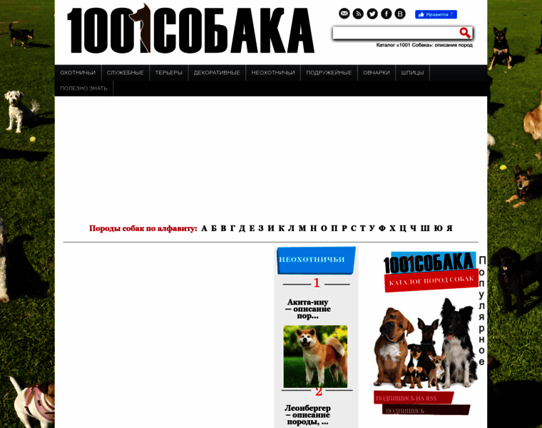 1001dog.com thumbnail
