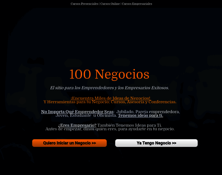100negocios.com thumbnail