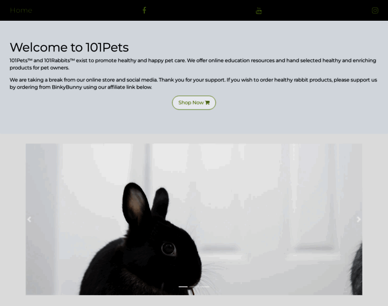 101rabbits.com thumbnail 101rabbits.com thumbnail