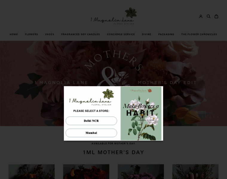 1magnolialane.com thumbnail 1magnolialane.com thumbnail