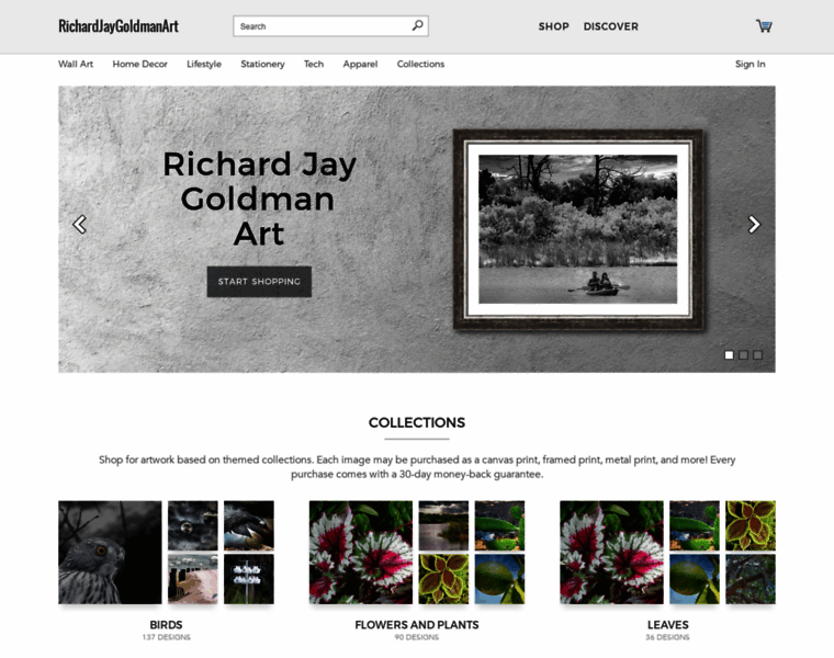 2-richard-goldman.artistwebsites.com thumbnail
