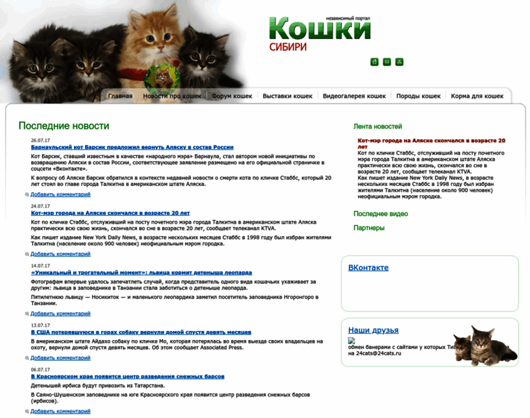 24cats.ru thumbnail