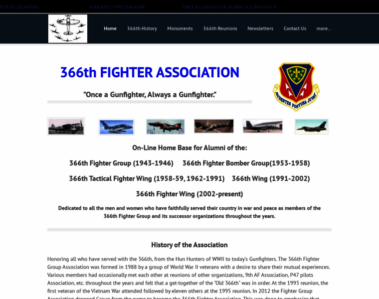 366thgunfighters.org thumbnail