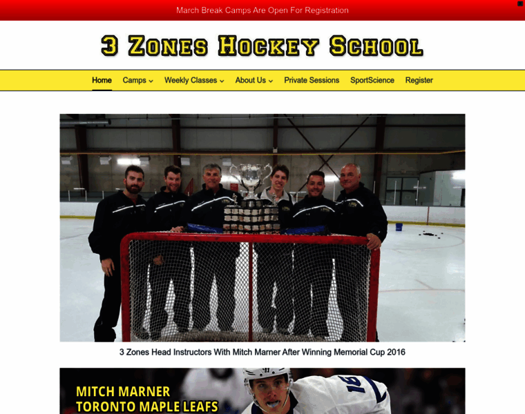 3zoneshockey.com thumbnail