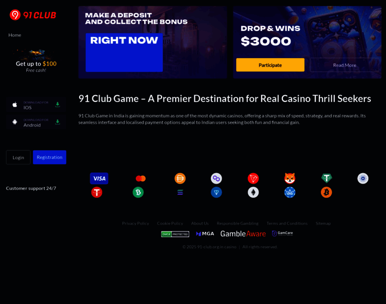 91-club.org.in thumbnail