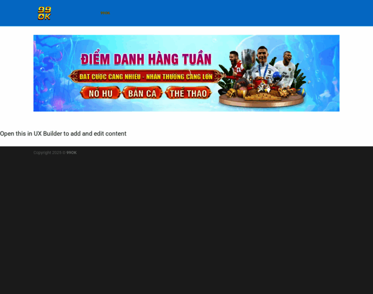 99ok.consulting thumbnail