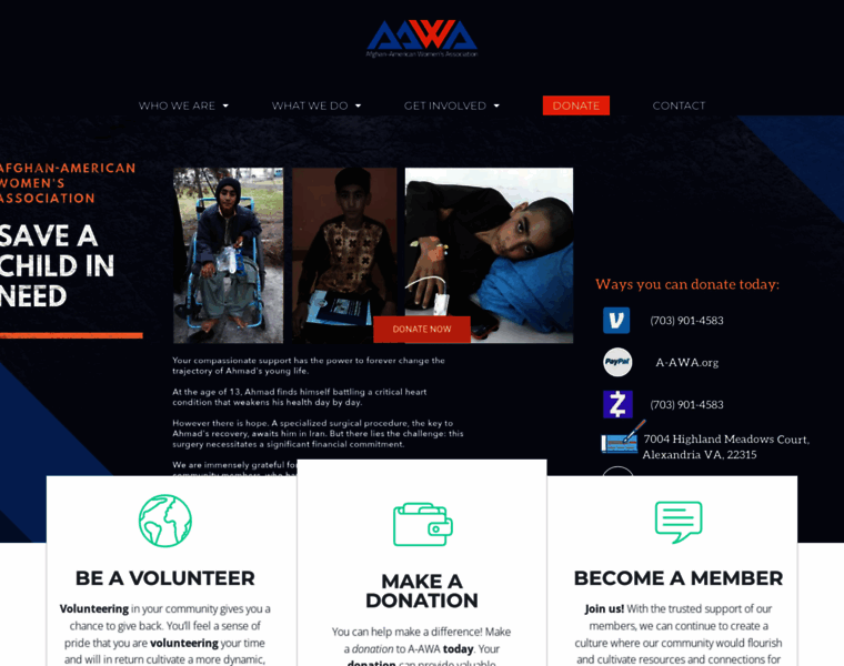 A-awa.org thumbnail