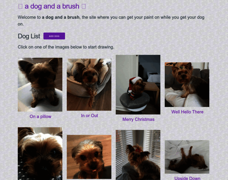 A-dog-and-a-brush.com thumbnail