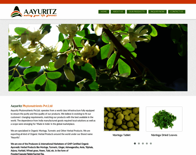 Aayuritz.com thumbnail