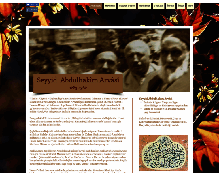 Abdulhakimarvasi.com thumbnail