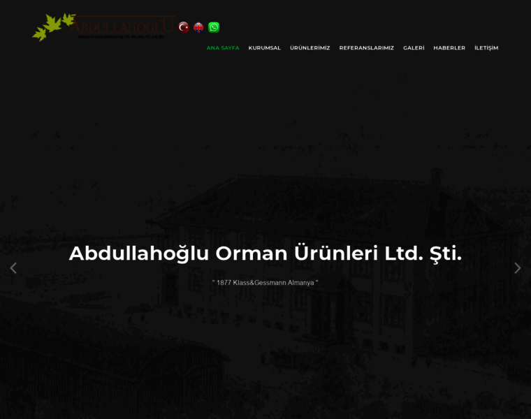 Abdullahoglu.com thumbnail