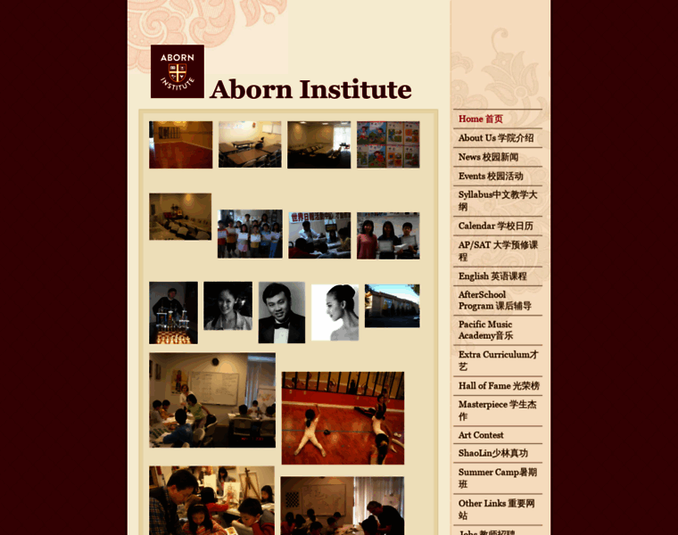 Aborninstitute.org thumbnail