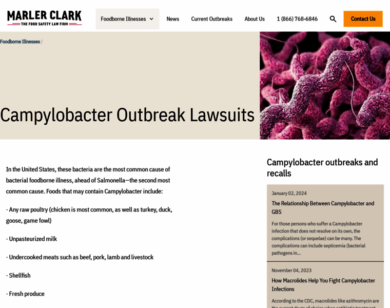 About-campylobacter.com thumbnail