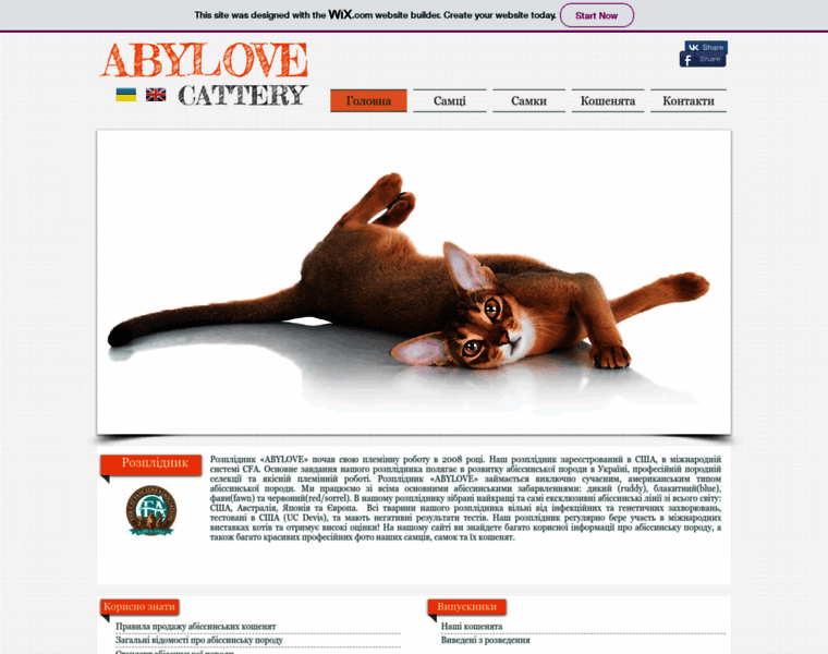Abylove.com thumbnail