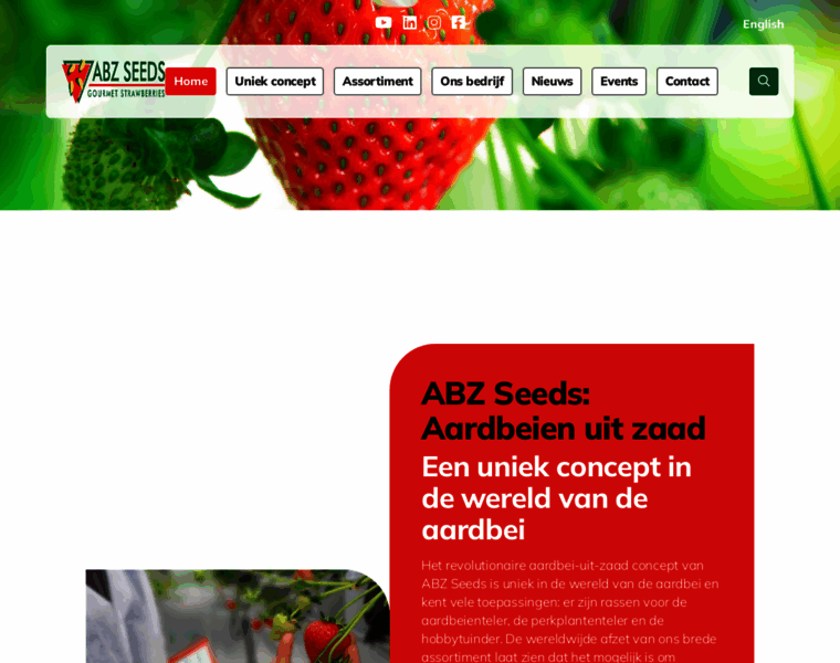 Abz-strawberry.nl thumbnail