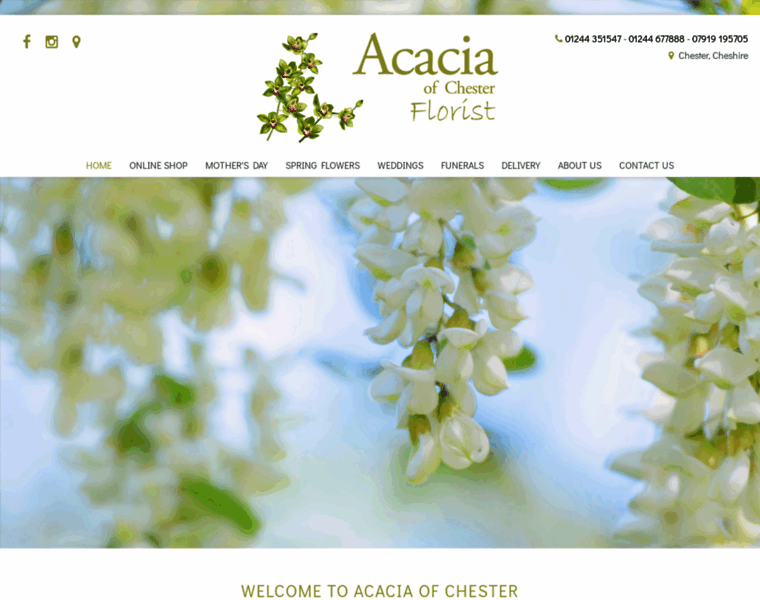 Acaciafloraldesigns.co.uk thumbnail