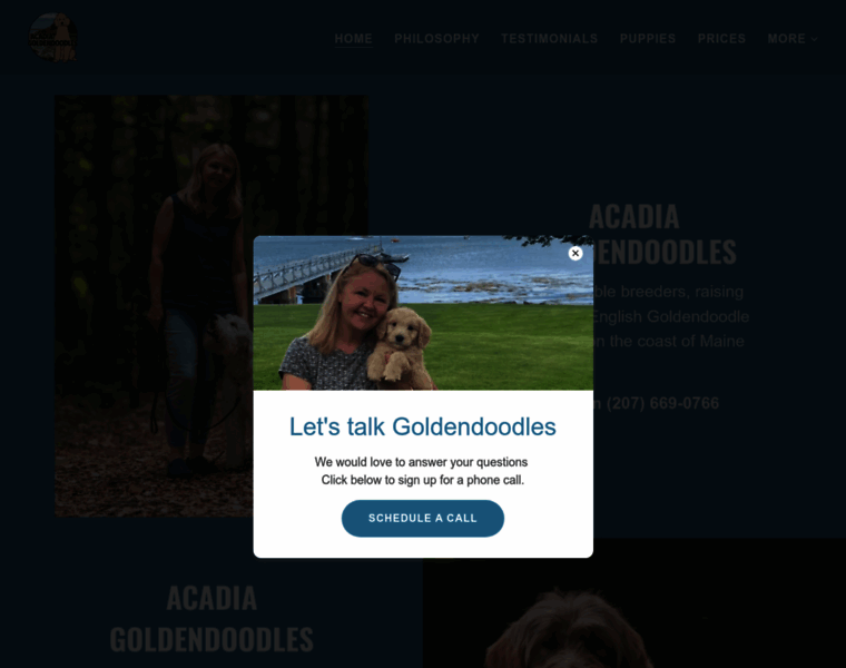 Acadiagoldendoodles.com thumbnail