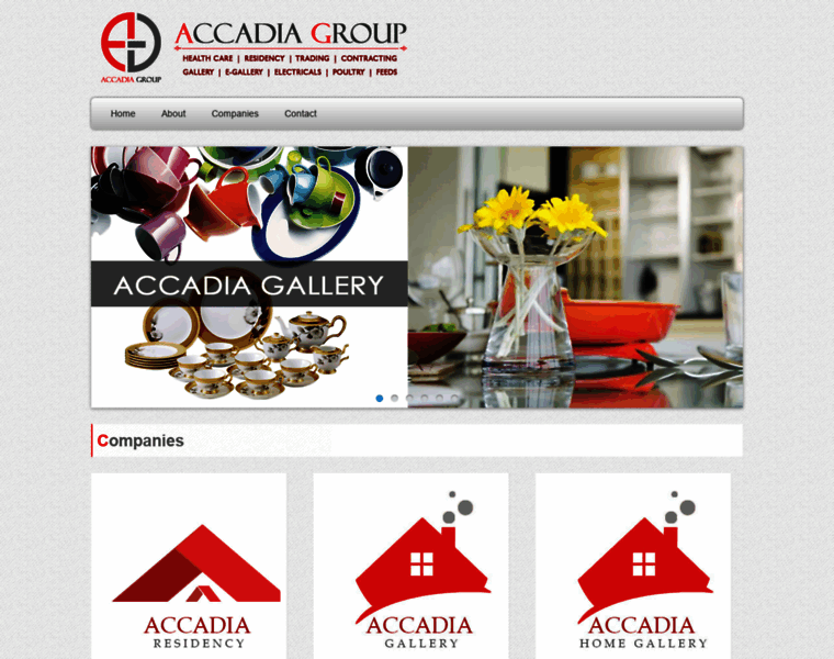 Accadiagroup.com thumbnail