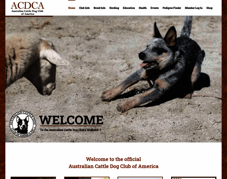 Acdca.org thumbnail