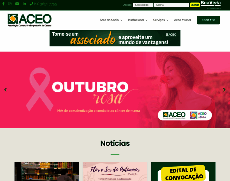 Aceo.com.br thumbnail