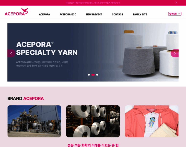 Acepora-fiber.com thumbnail