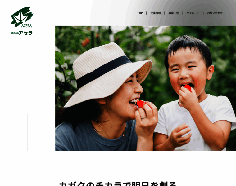 Acera-jp.com thumbnail Acera-jp.com thumbnail