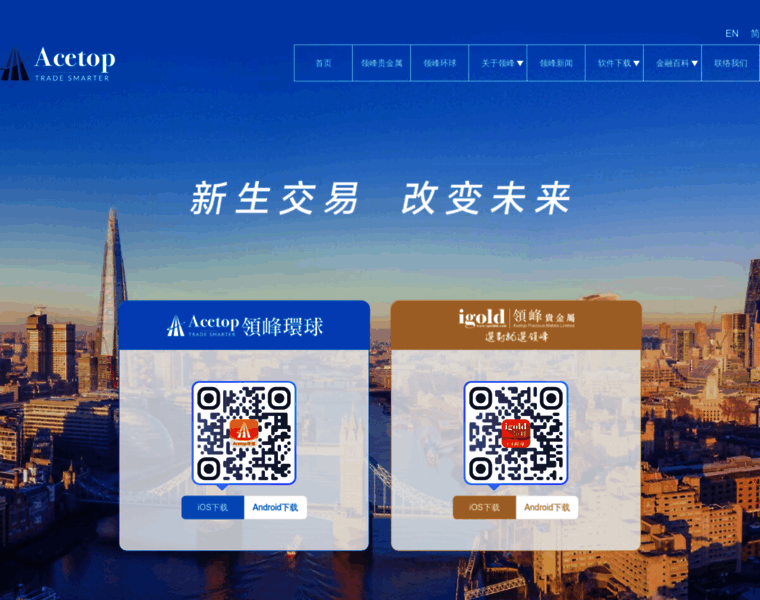 Acetop-group.com thumbnail