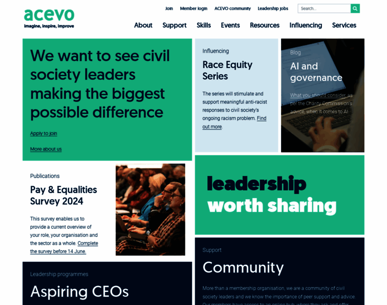 Acevo.org.uk thumbnail