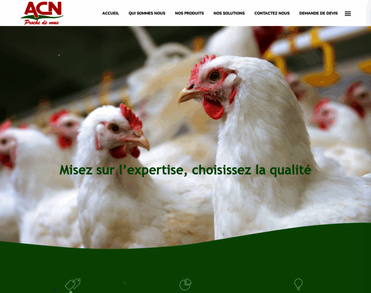 Acn.net.tn thumbnail Acn.net.tn thumbnail