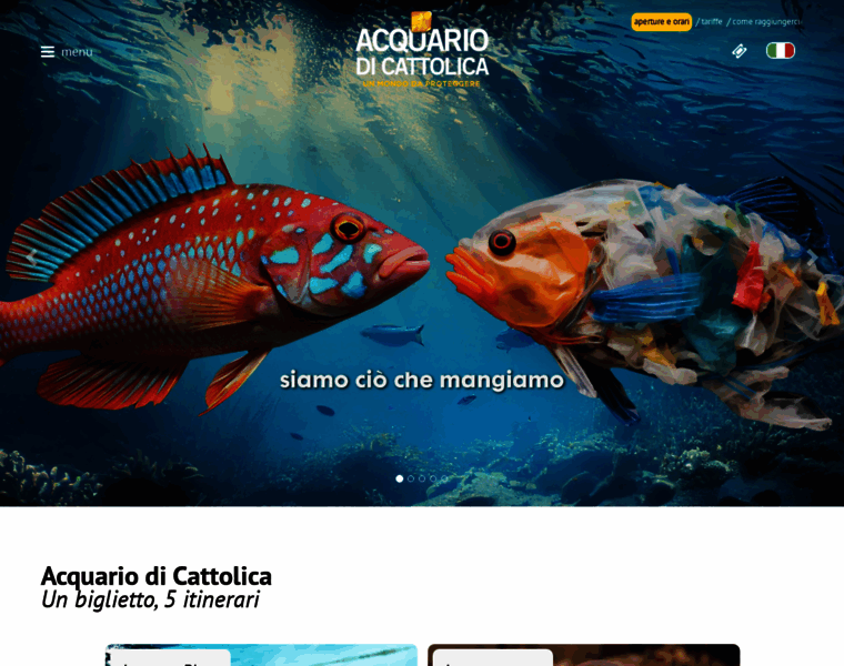Acquariodicattolica.it thumbnail