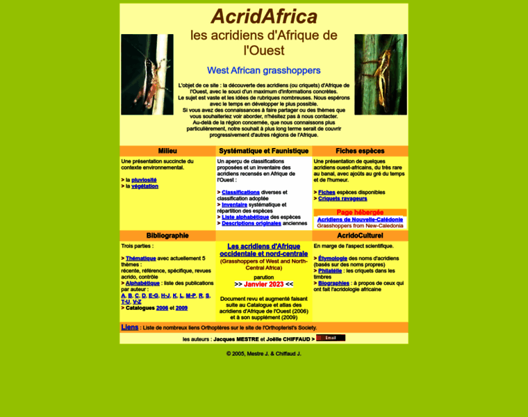Acrida.info thumbnail