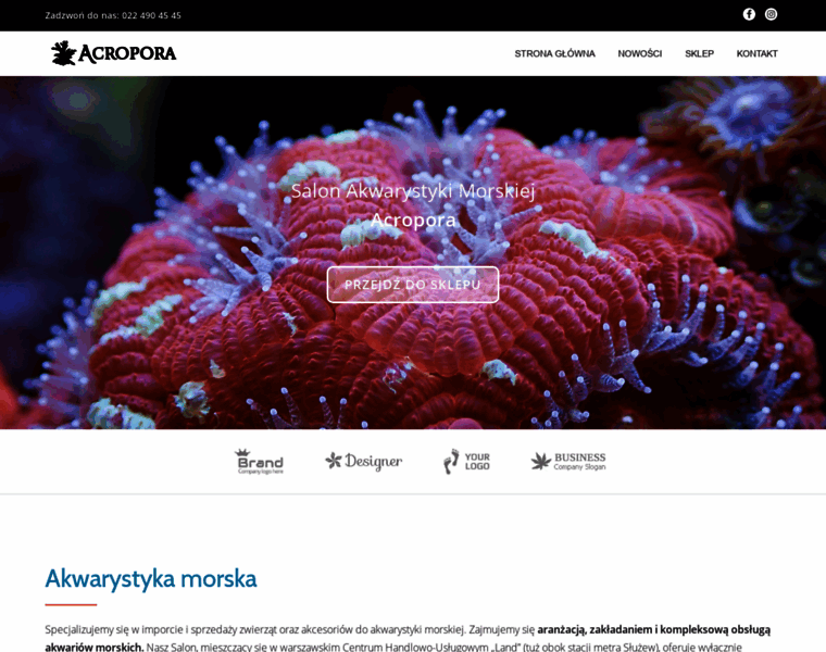 Acropora.pl thumbnail
