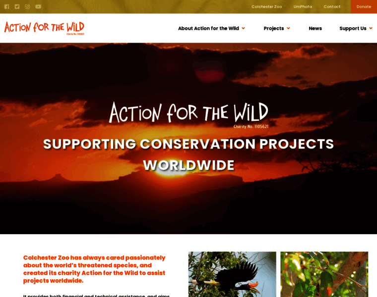 Actionforthewild.org thumbnail