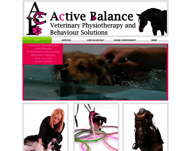 Activebalance-vetphysio.co.uk thumbnail
