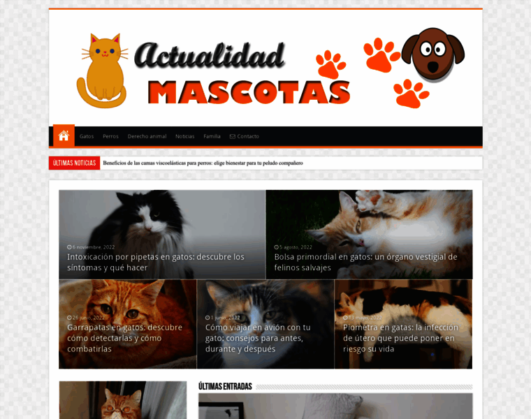 Actualidadmascotas.com thumbnail