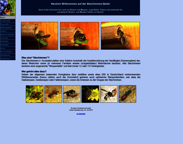 Aculeata.de thumbnail