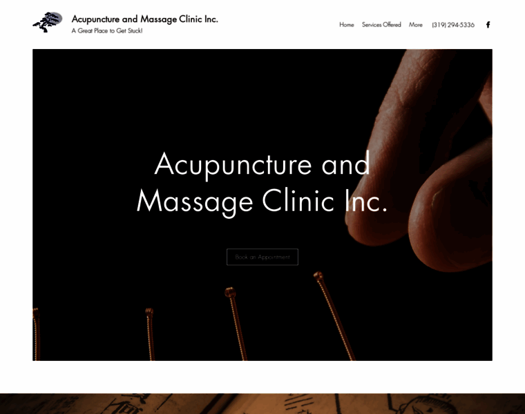 Acupunctureclinic.biz thumbnail